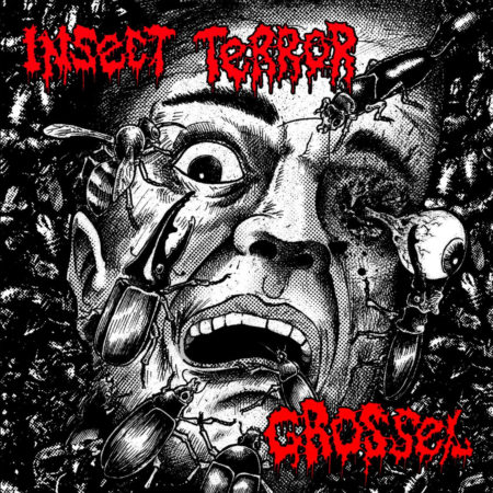 Insect Terror / Grossel - Restless Blast Syndrome