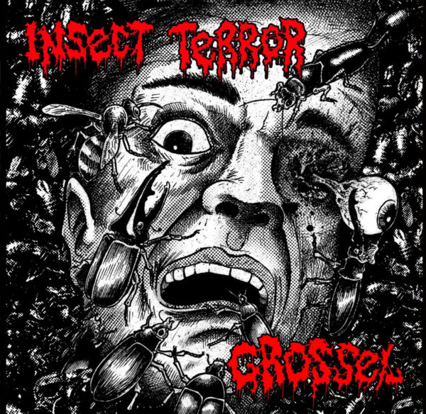 Insect Terror / Grossel - Restless Blast Syndrome