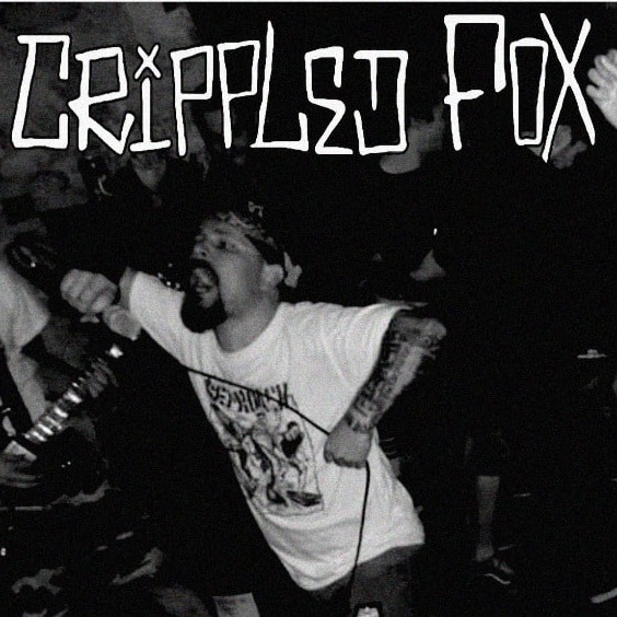 Crippled Fox / Satanic Youth - Split