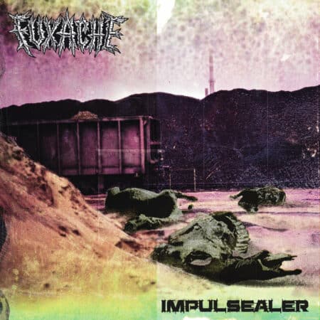 Impulsealer / Fuxache - Split