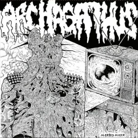 Archagathus / Cystoblastosis - Split