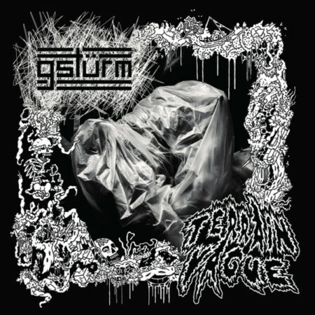 Gsturm / Terrain Vague - Split
