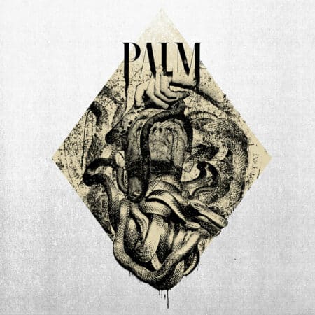 Palm - The Unusual